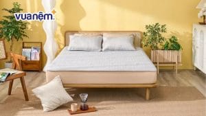 Top 3 mẫu chiếu điều hòa kích thước 1m8x2m bán chạy 2026