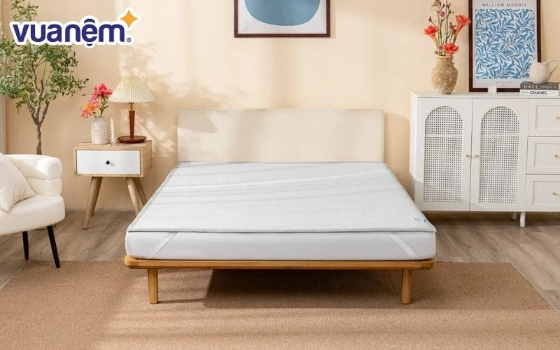 Chiếu điều hòa 5D là gì?