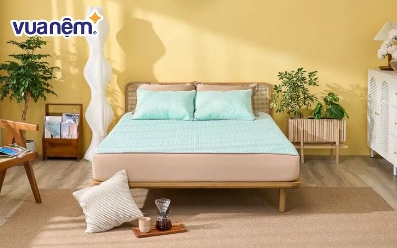Chiếu điều hòa cao su Doona Aqua