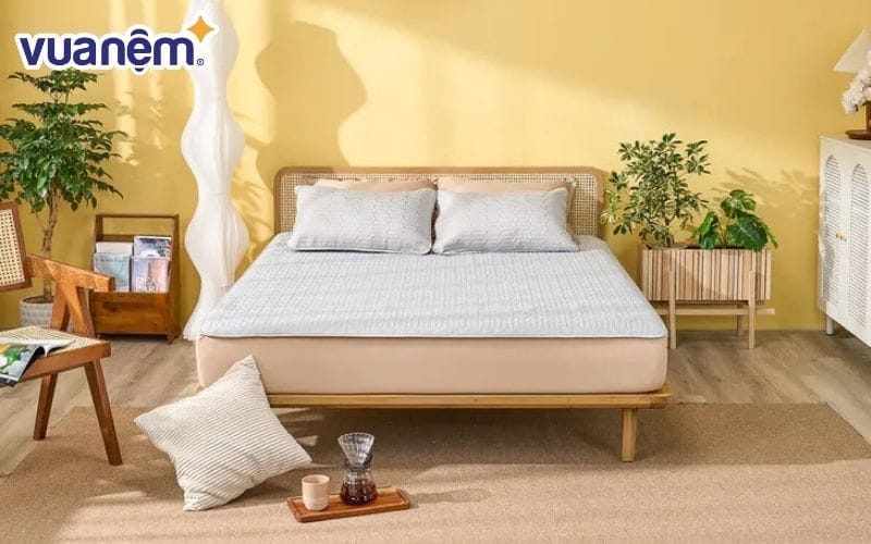 Chiếu điều hoà Doona Aqua