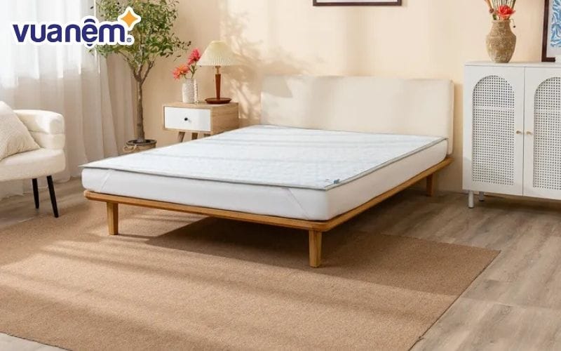 So sánh chiếu điều hòa và chiếu trúc: Nên chọn loại nào?