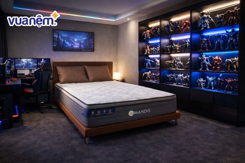 Lắp đặt kệ trưng bày mô hình