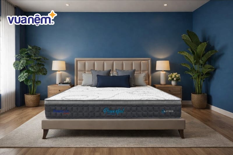 Decor bằng cây xanh trên nền tường xanh