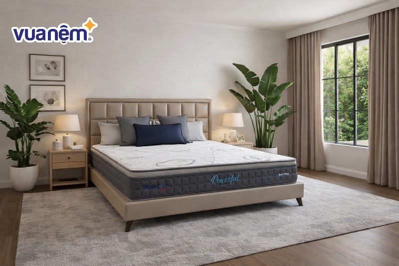 Trang trí bằng cây xanh lọc không khí