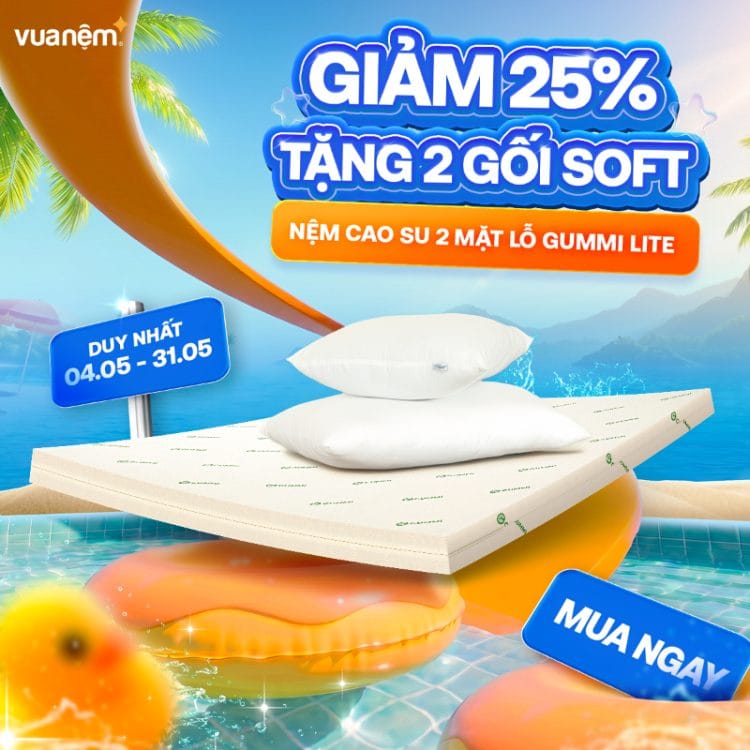 Nệm cao su 2 mặt lỗ Gummi Lite