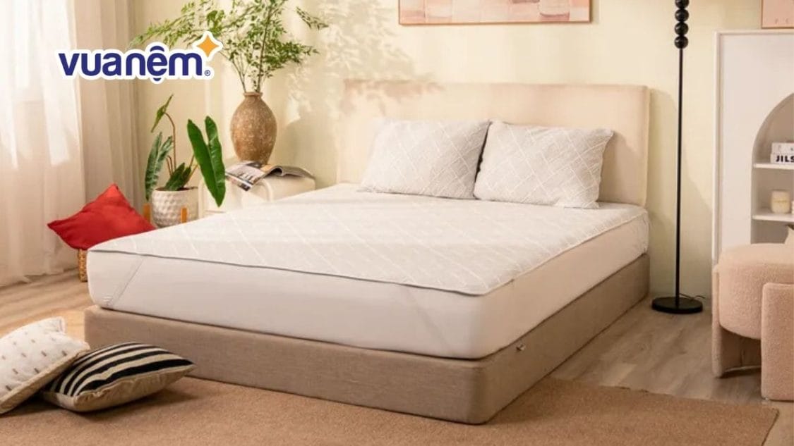 So sánh chiếu điều hòa và chiếu trúc: Chiếu nào tốt hơn?