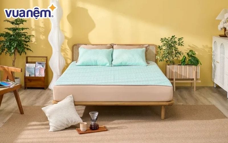 Vua Nệm - Địa chỉ mua chiếu điều hòa uy tín chất lượng