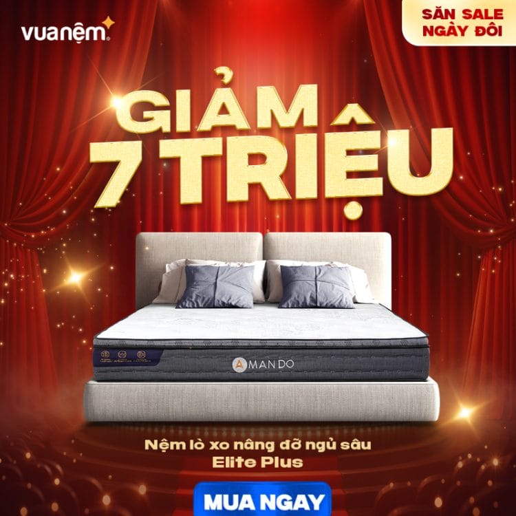 Nệm lò xo nâng đỡ ngủ sâu Amando Elite Plus