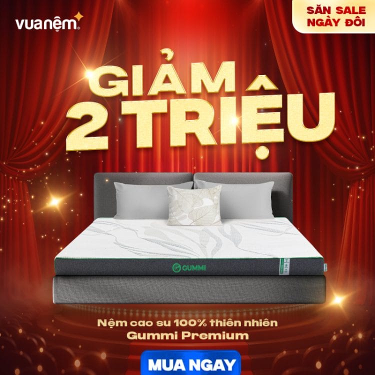 Nệm cao su 100% thiên nhiên Gummi Premium