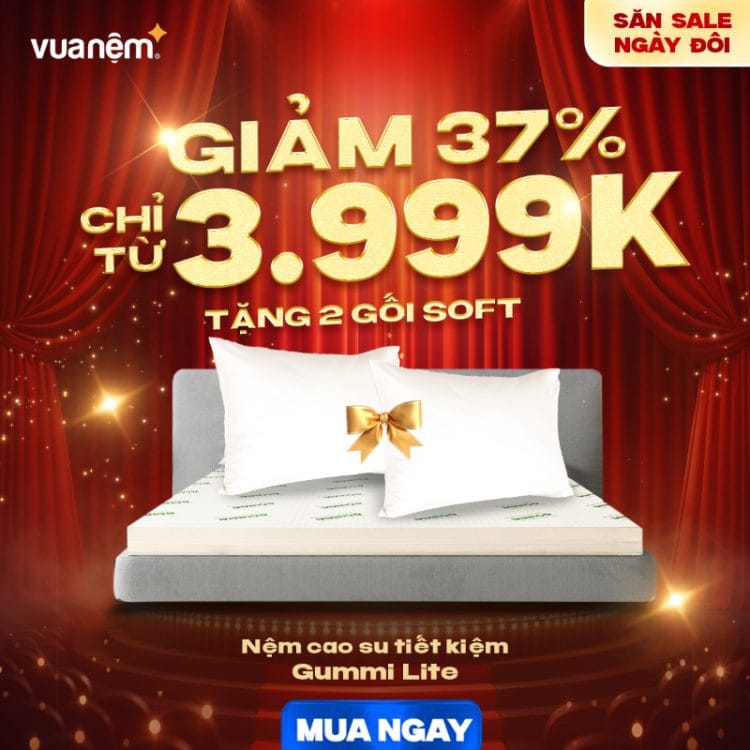 Nệm cao su tiết kiệm Gummi Lite