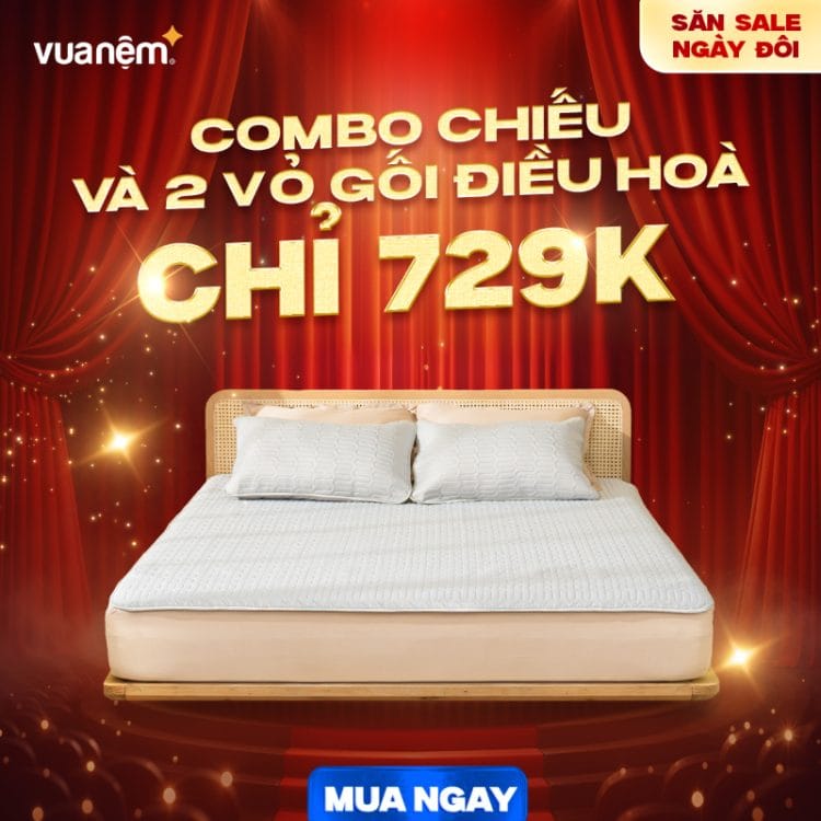 Combo chiếu và 2 vỏ gối điều hòa