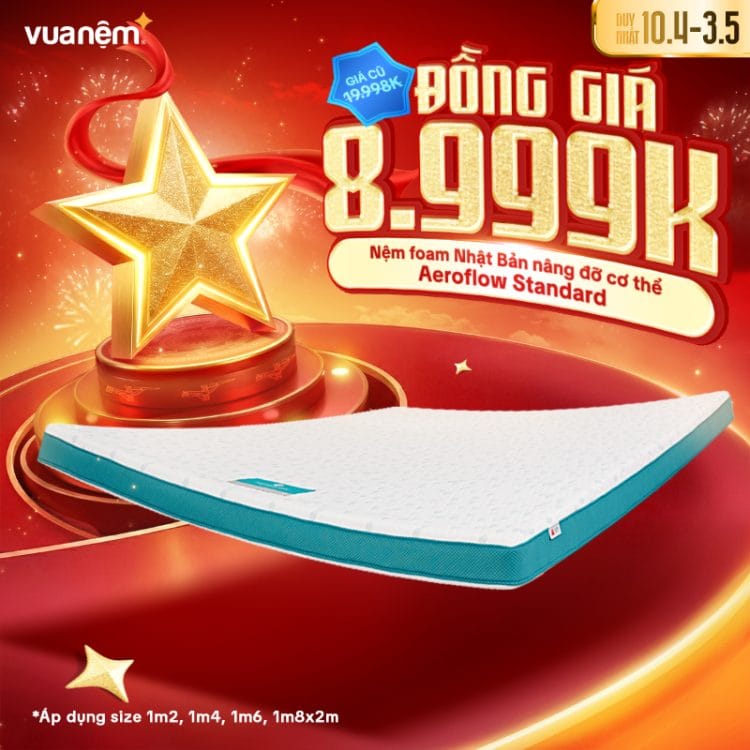 Nệm foam Nhật Bản Aeroflow Standard nâng đỡ cơ thể