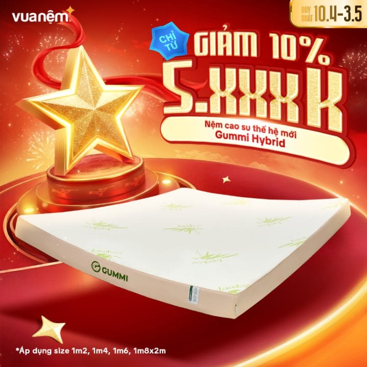 Nệm cao su thế hệ mới Gummi Hybrid