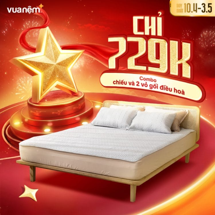 Combo chiếu và 2 vỏ gối điều hoà