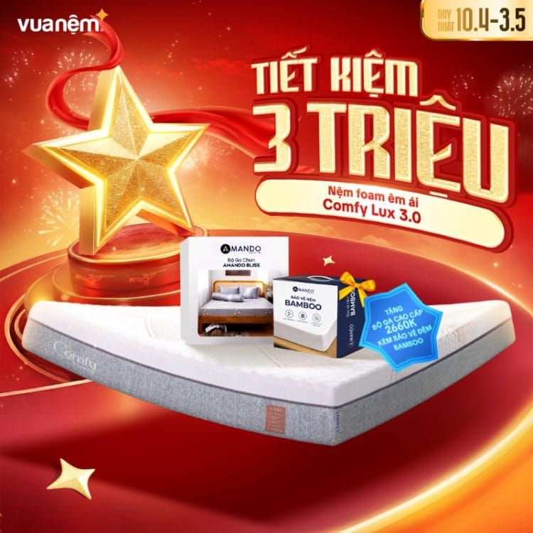 Nệm foam êm ái Comfy Lux 3.0