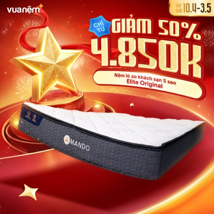 Nệm lò xo khách sạn 5 sao Amando Elite Original