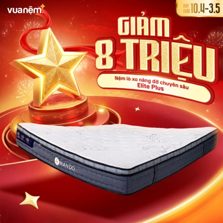 Nệm lò xo nâng đỡ chuyên sâu Amando Elite Plus