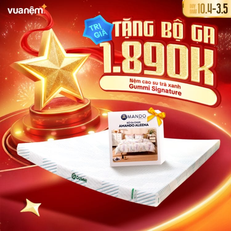 Nệm cao su trà xanh Gummi Signature