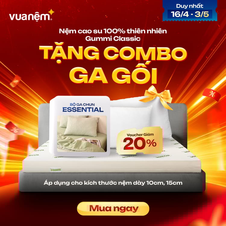 Nệm cao su 100% thiên nhiên Gummi Classic