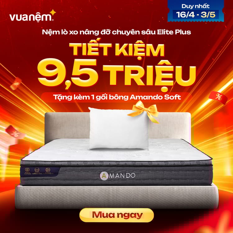 Nệm lò xo nâng đỡ chuyên sâu Amando Elite Plus