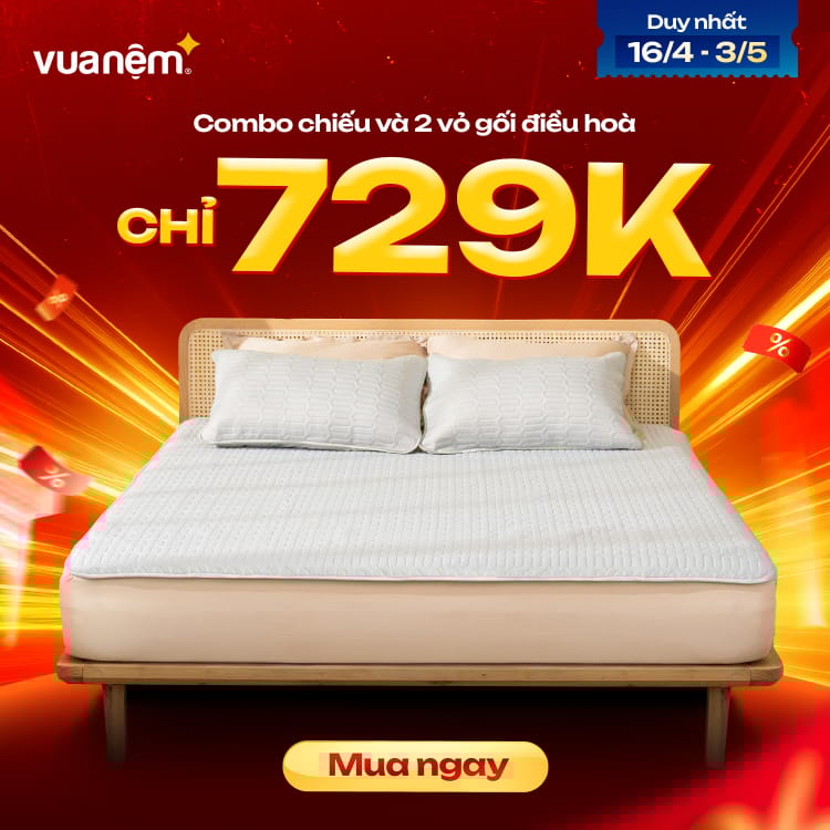 Combo chiếu và 2 vỏ gối điều hoà