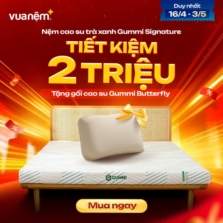 Nệm cao su trà xanh Gummi Signature