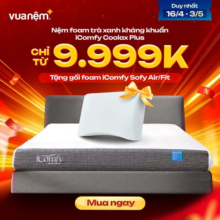 Nệm foam trà xanh kháng khuẩn iComfy Coolax Plus