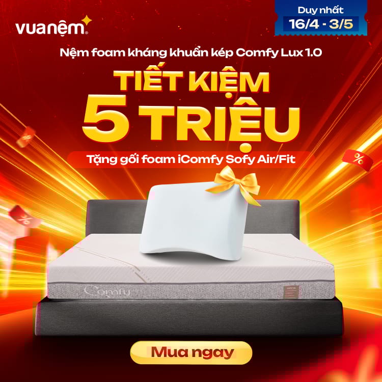 Nệm foam kháng khuẩn kép Comfy Lux 1.0