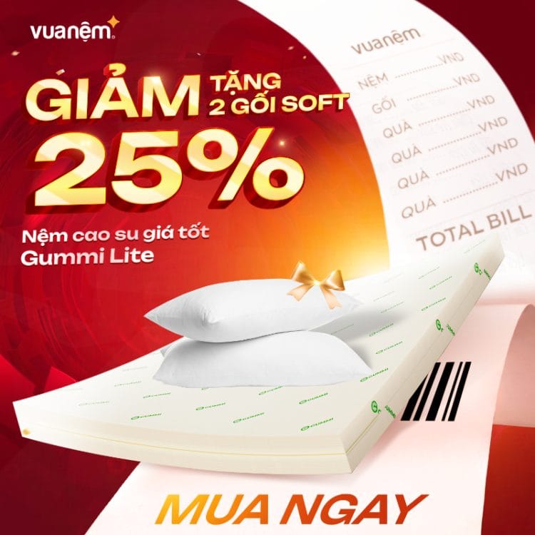 Nệm cao su giá tốt Gummi Lite