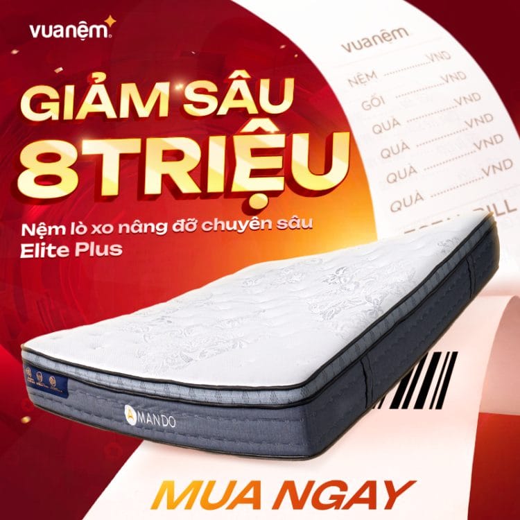Nệm lò xo nâng đỡ chuyên sâu Amando Elite Plus