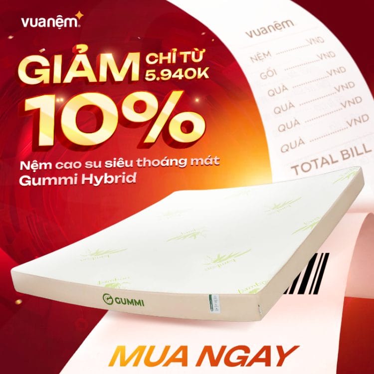 Nệm cao su siêu thoáng mát Gummi Hybrid