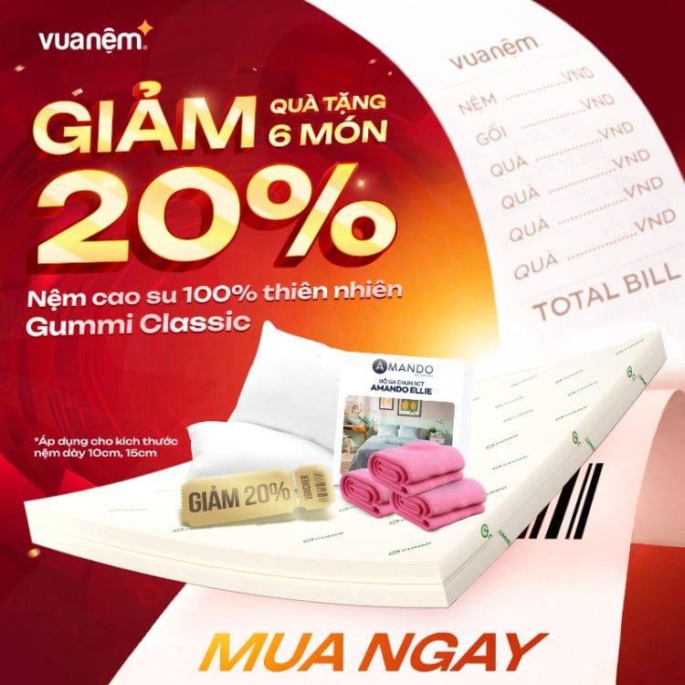Nệm cao su 100% thiên nhiên Gummi Classic