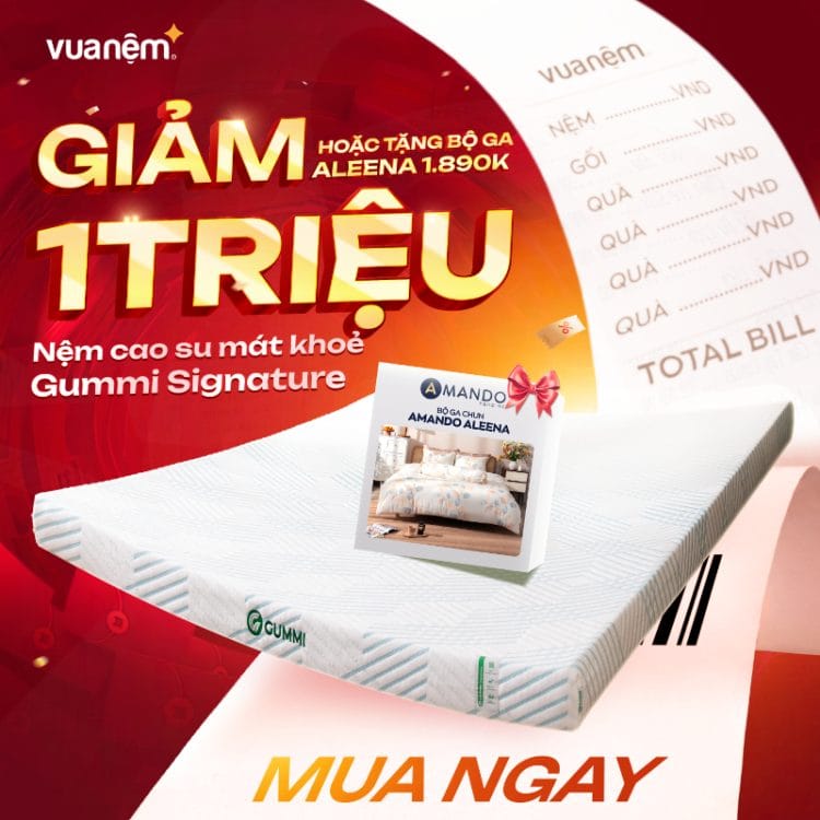 Nệm cao su mát khoẻ Gummi Signature