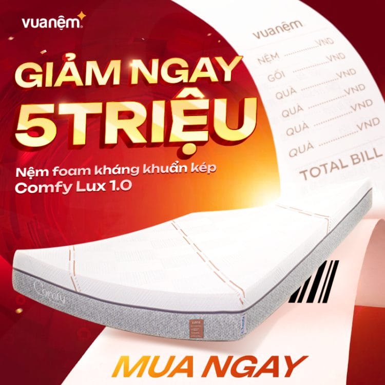 Nệm foam kháng khuẩn kép Comfy Lux 1.0
