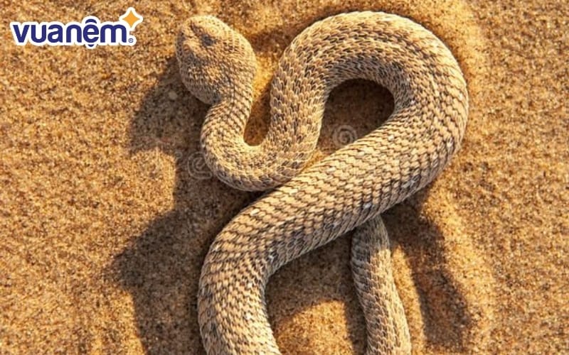 Phản ánh cảm xúc bị kìm nén hoặc chưa được nói ra