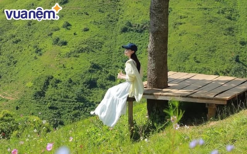 Mơ thấy đi du lịch cùng bạn bè thể hiện nhu cầu kết nối và thư giãn