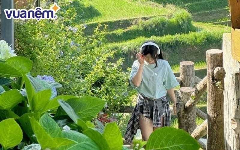 Mơ thấy đi du lịch trễ chuyến phản ánh nỗi lo bỏ lỡ cơ hội trong cuộc sống