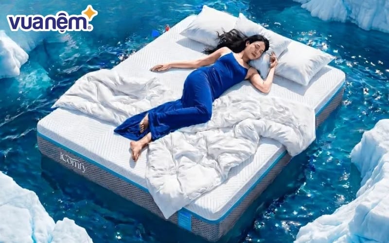 Ngủ ngon hơn giúp hạn chế những giấc mơ căng thẳng về mèo