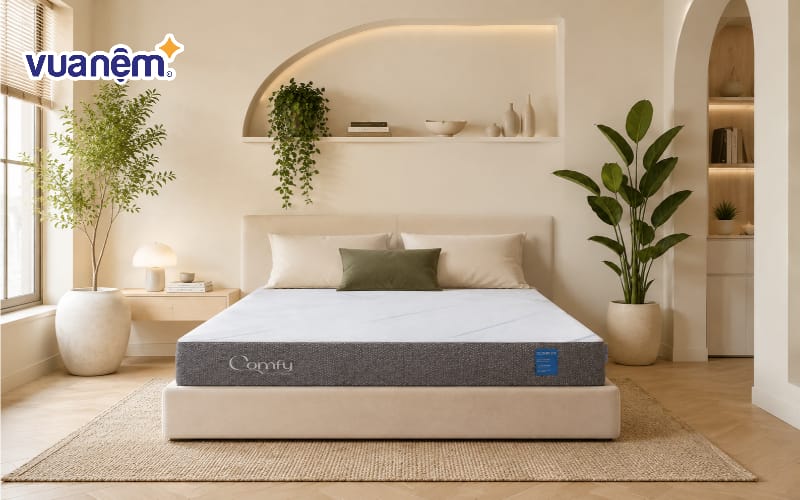 Tạo điểm nhấn với cây xanh trong nhà