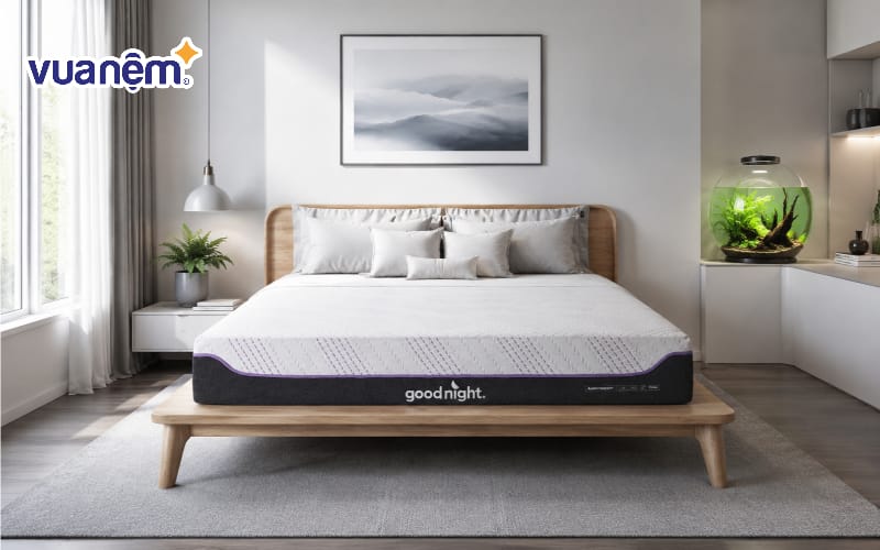 Điểm xuyết màu xanh từ cây thủy sinh