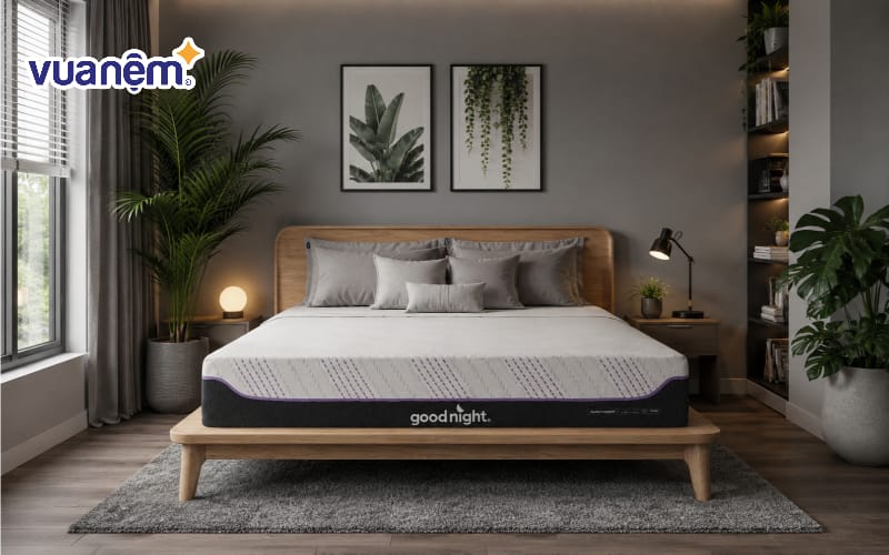 Trang trí với cây xanh trong nhà