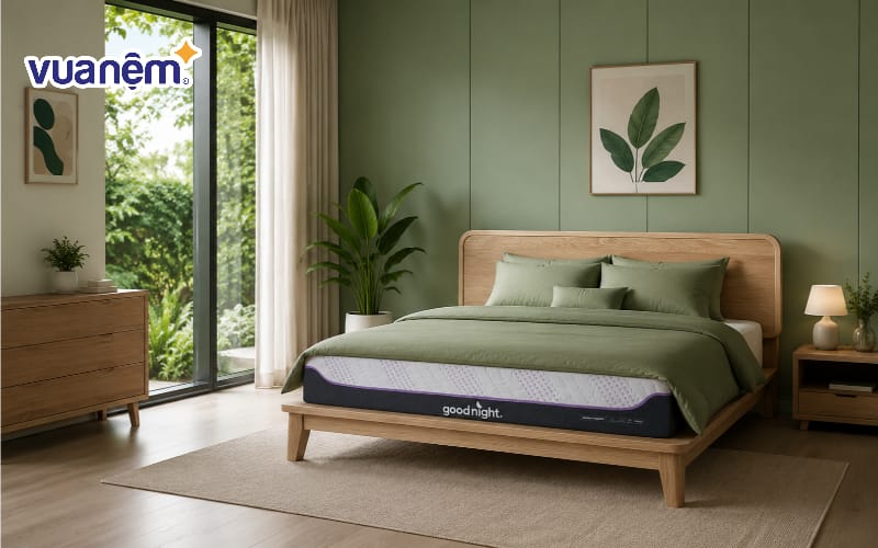 Lựa chọn bộ chăn ga gối màu xanh lá