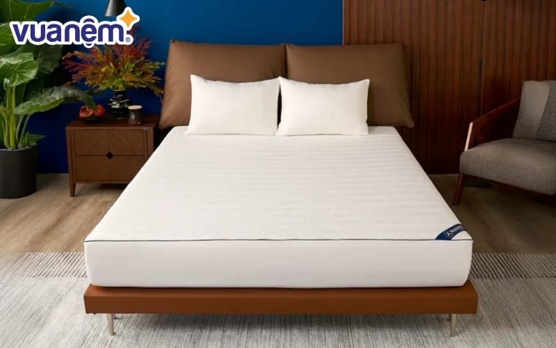 Bảo vệ nệm Amando Cool Guard chống thấm toàn diện