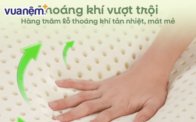 Gối cao su công thái học Gummi Contour Ema
