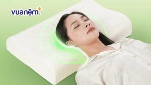 Gối cao su Gummi Contour Ema có gì nổi bật? Review chi tiết