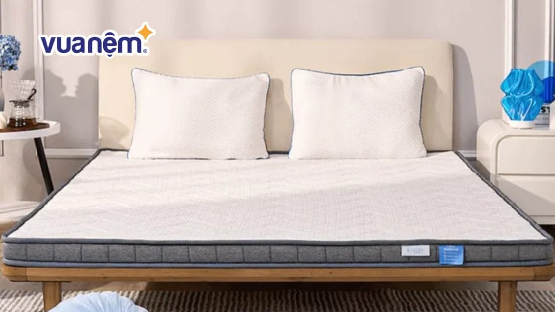 Có nên chọn mua nệm foam iComfy Basic 1.0 không? Review chi tiết