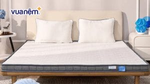 Có nên chọn mua nệm foam iComfy Basic 1.0 không? Review chi tiết