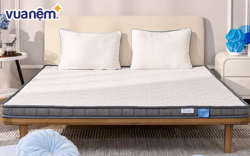 Nệm foam iComfy Basic 1.0 giá tiết kiệm