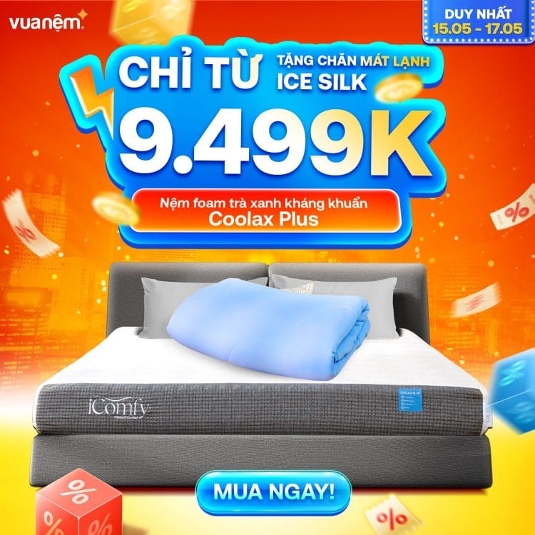 Nệm foam trà xanh kháng khuẩn iComfy Coolax Plus