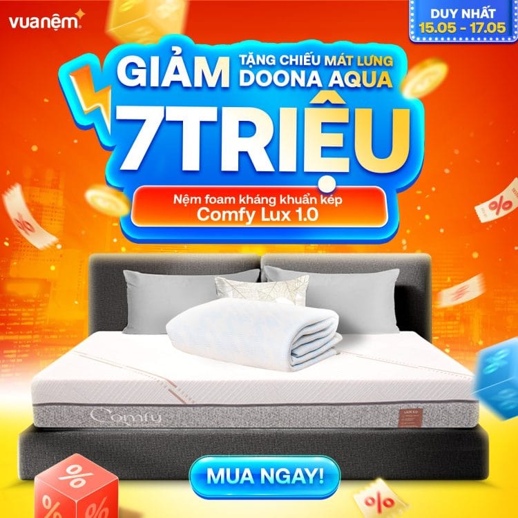 Nệm foam kháng khuẩn kép Comfy Lux 1.0